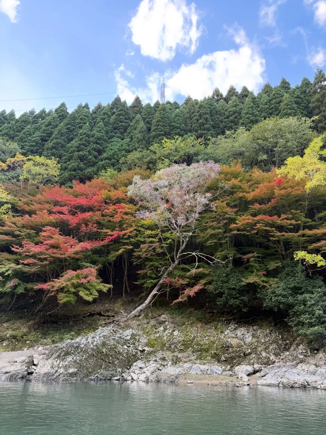 Hozugawa river
